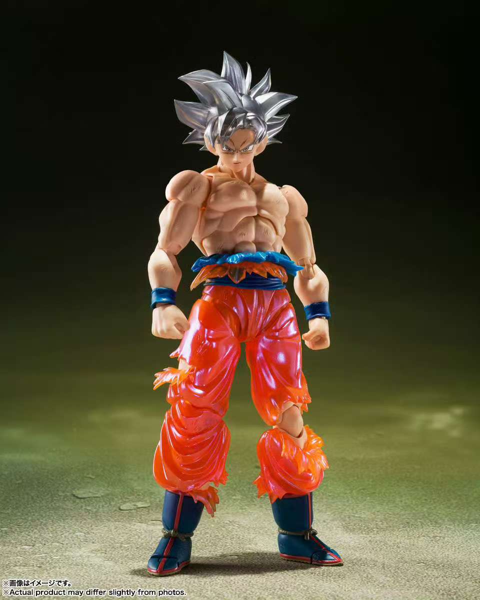 Penjualan Langsung Bandai Drag - Bandai Tamashii Nations S.H.Figuarts ulasan dan harga